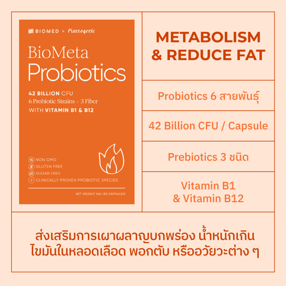 BioMeta (Plantogenic x Biomed) แคปซูลโพรไบโอติกส์ ปรับระบบเผาผลาญ - Image 3
