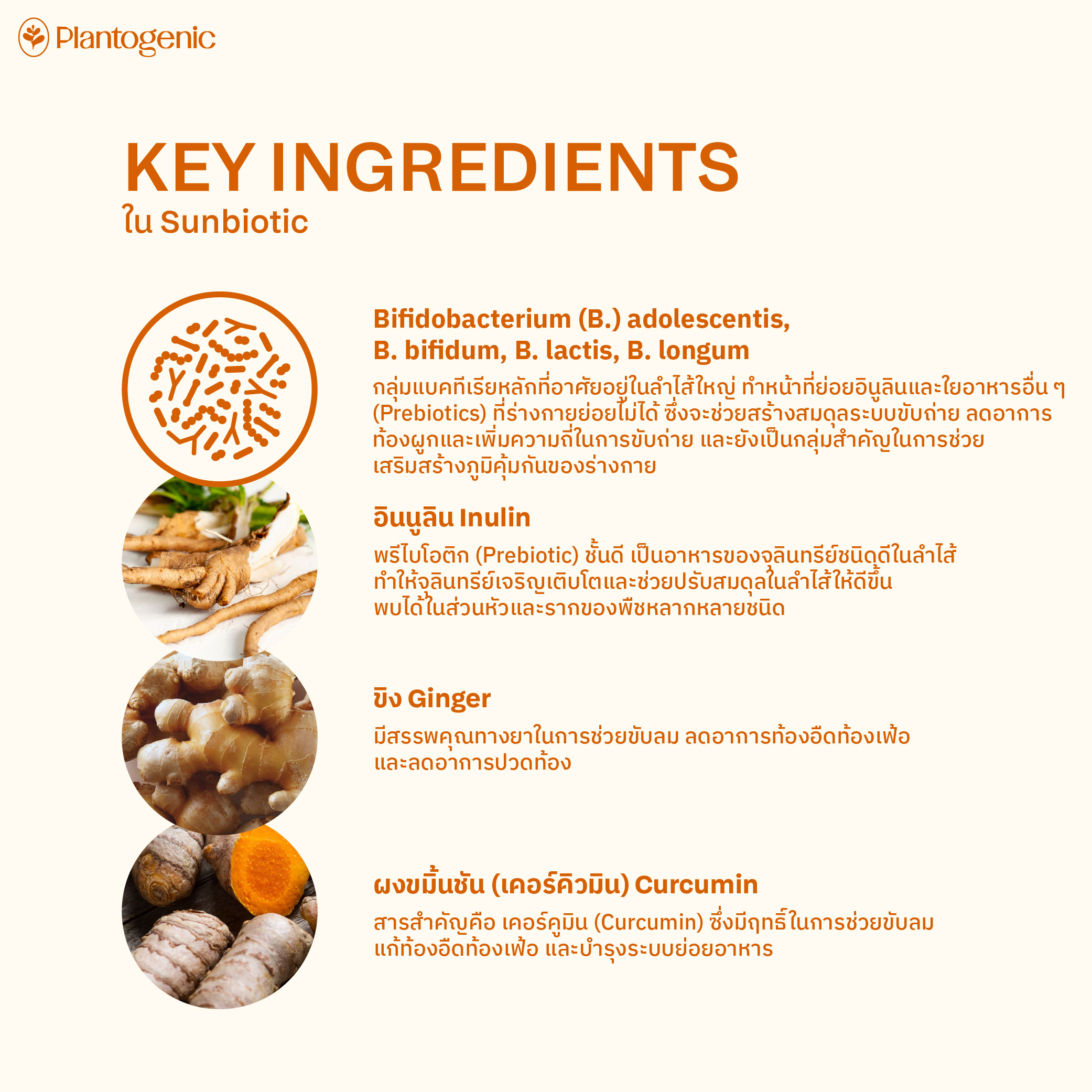 Sunbiotic โพรไบโอติก พรีไบโอติก เอนไซม์ผลไม้ และสมุนไพร - Image 3