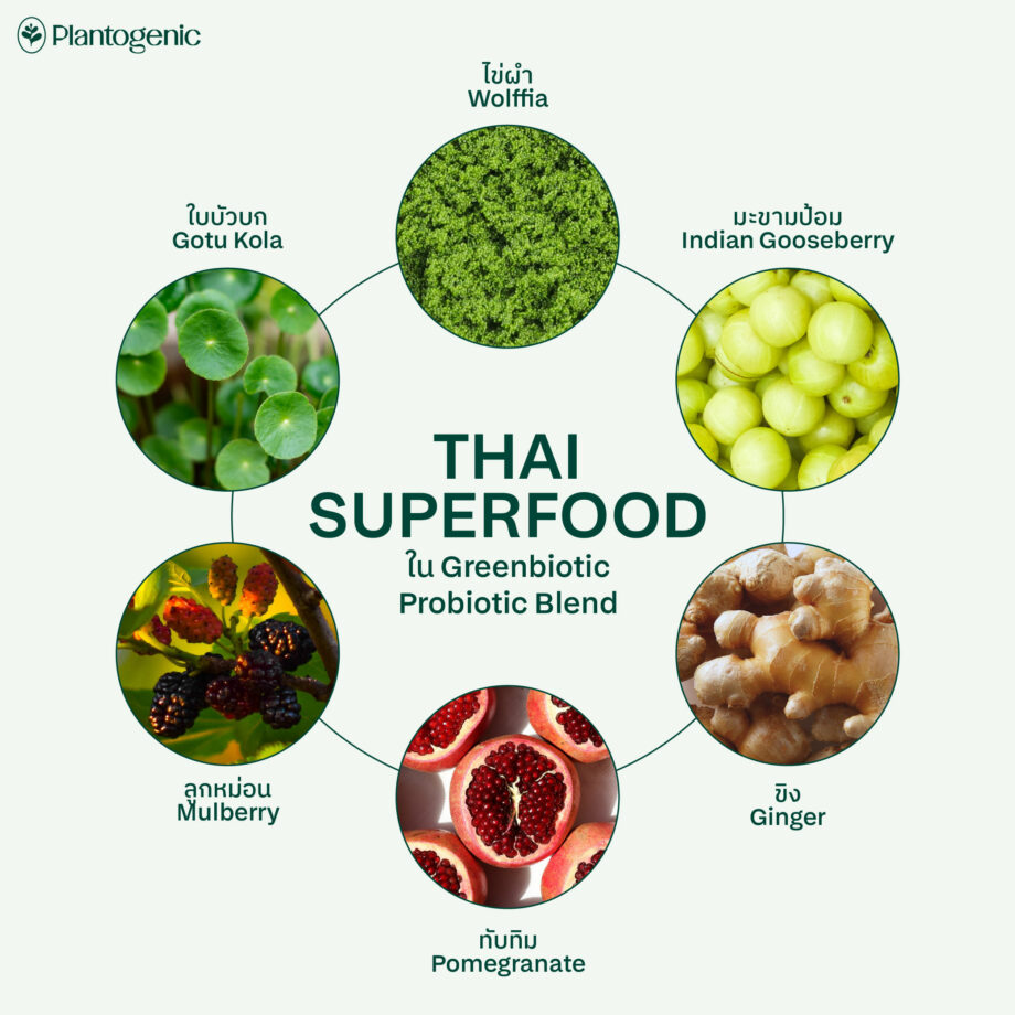 Greenbiotic โพรไบโอติกส์ ผำ และผักผลไม้รวม - Image 3