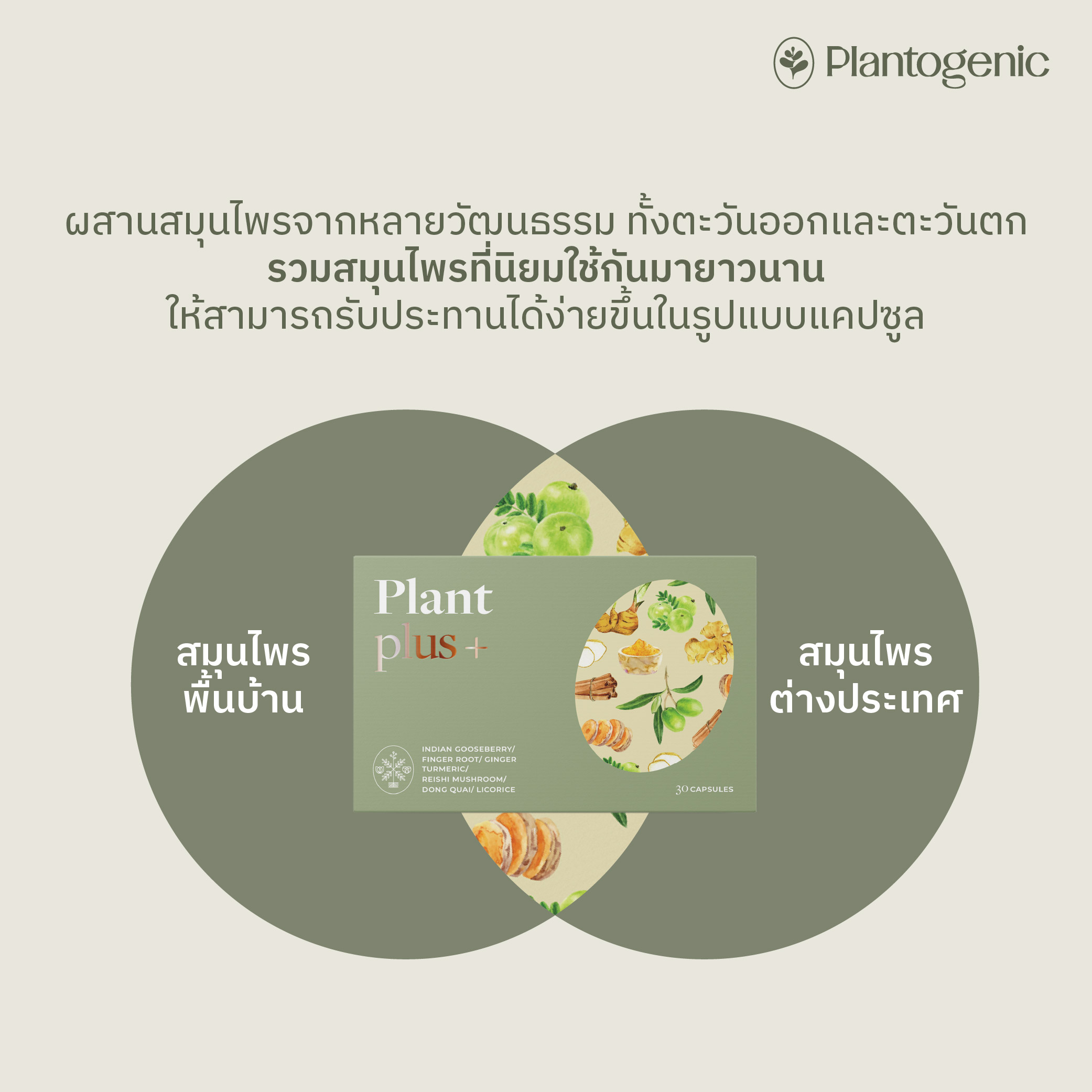 PLANT PLUS+ แคปซูลรวมสมุนไพรจากพืชกว่า 15 ชนิด - Image 4