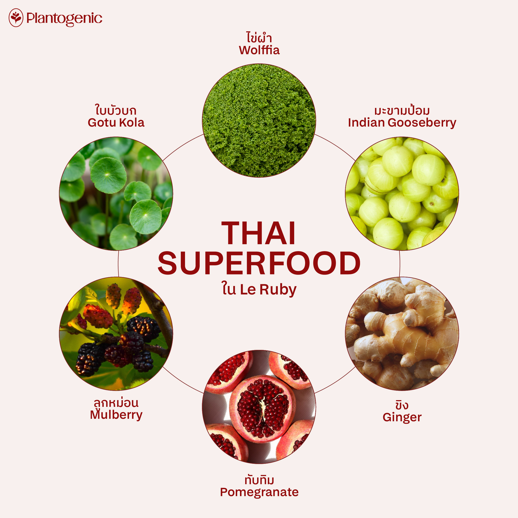 Le Ruby ผงผักผลไม้สีแดงรวม 13 ชนิด - Image 4