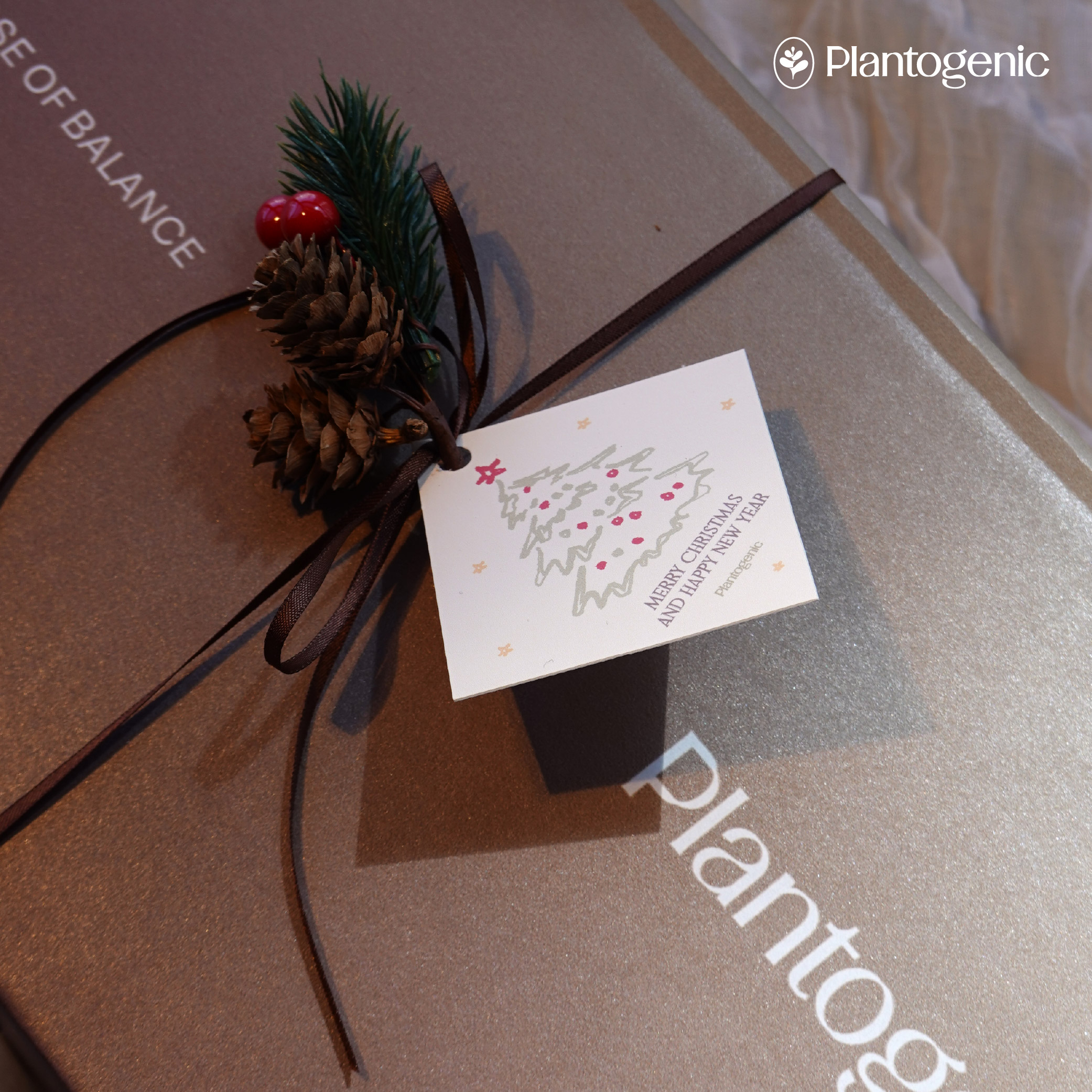 Curated 6 Holiday Set เครื่องดื่ม 3in1 Superfood 6 กล่อง - Image 2