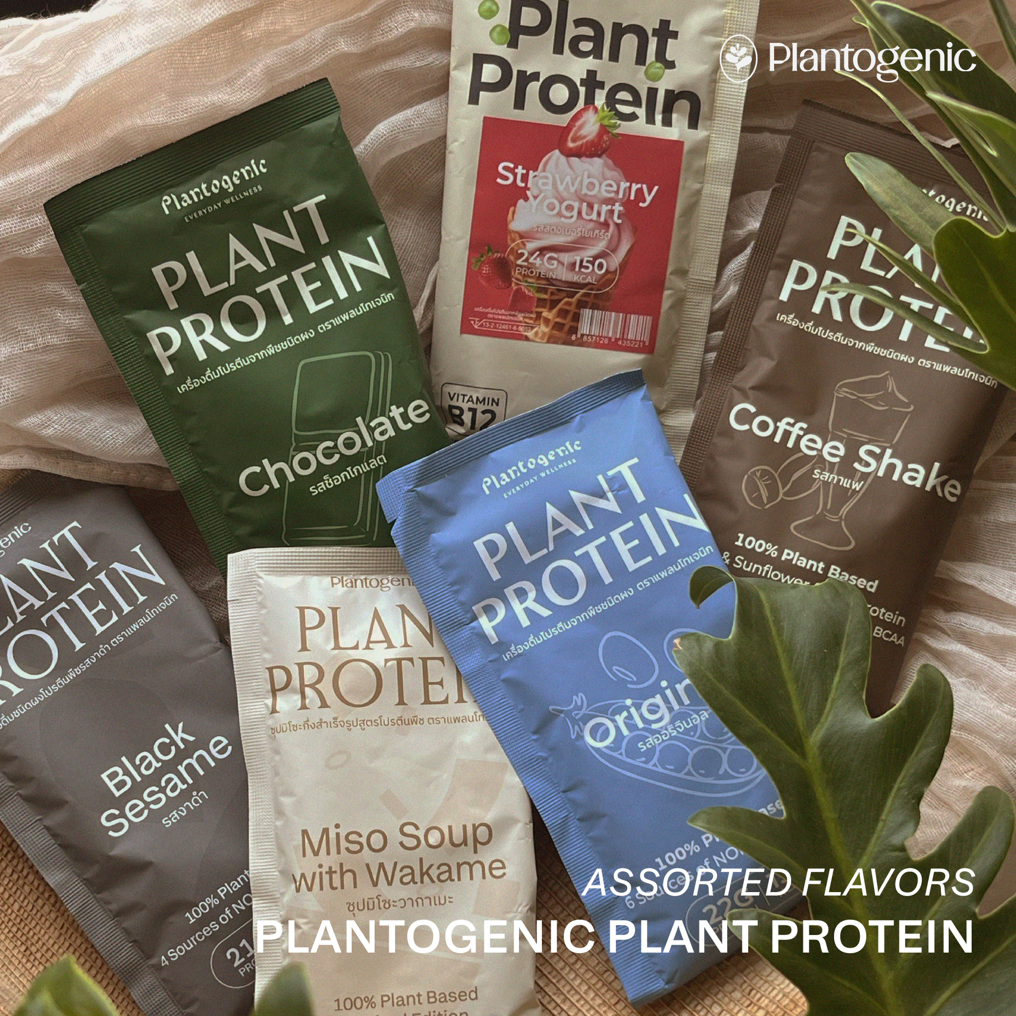 Protein Discovery Holiday Set เซทรวมโปรตีนซอง - Image 3