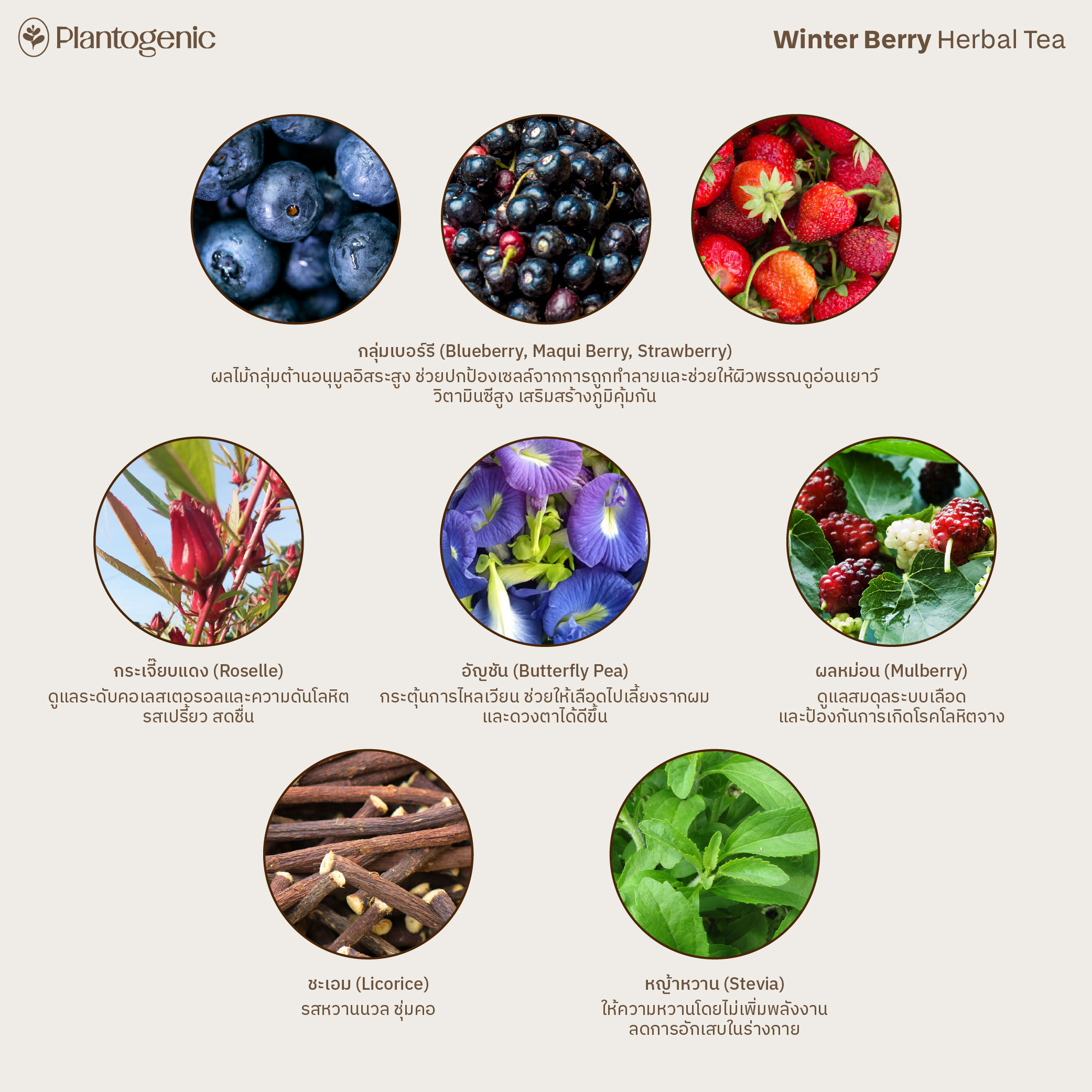 Rainbow Herbal Tea รวมมิตรชา 6 สี ไม่มีคาเฟอีน - Image 11