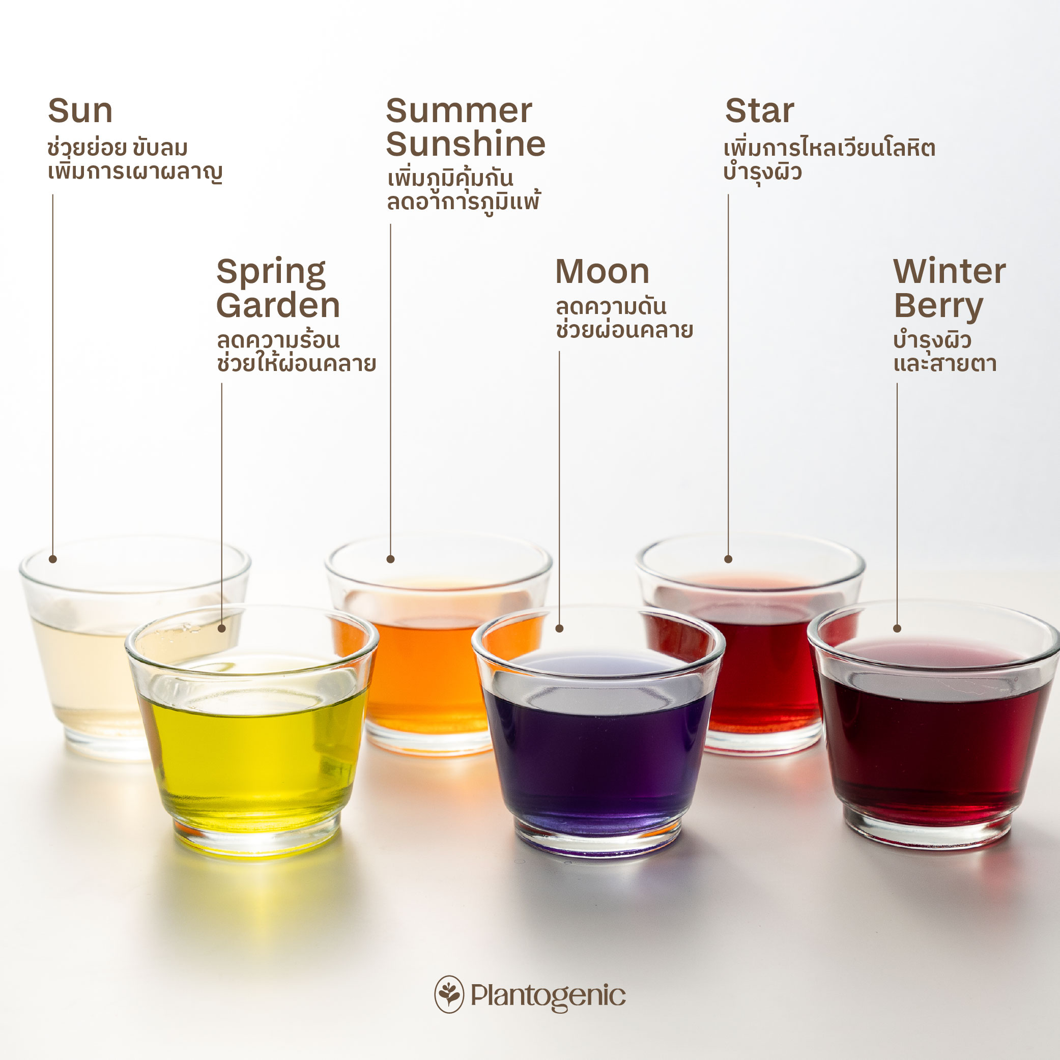 Rainbow Herbal Tea รวมมิตรชา 6 สี ไม่มีคาเฟอีน - Image 14