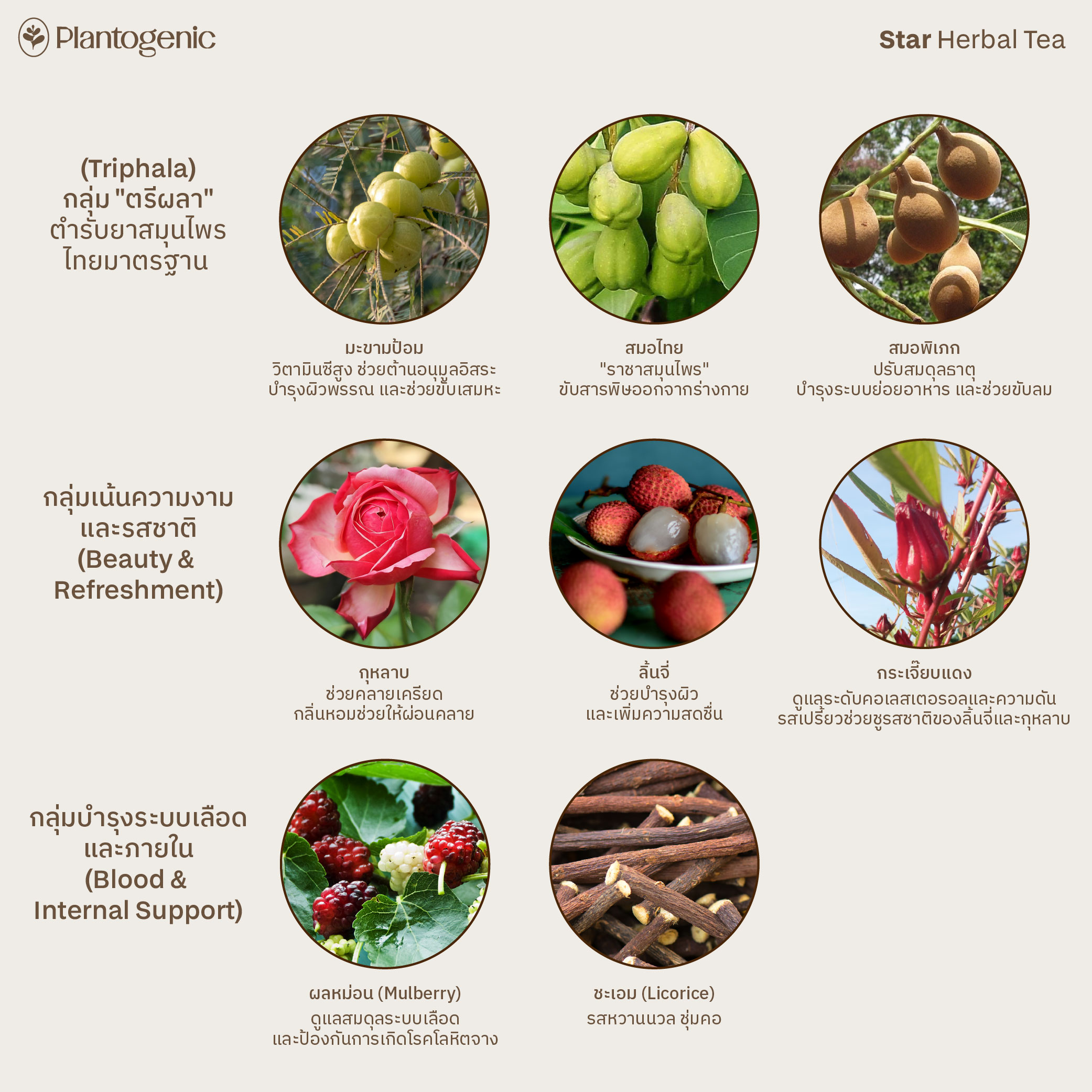 Rainbow Herbal Tea รวมมิตรชา 6 สี ไม่มีคาเฟอีน - Image 13