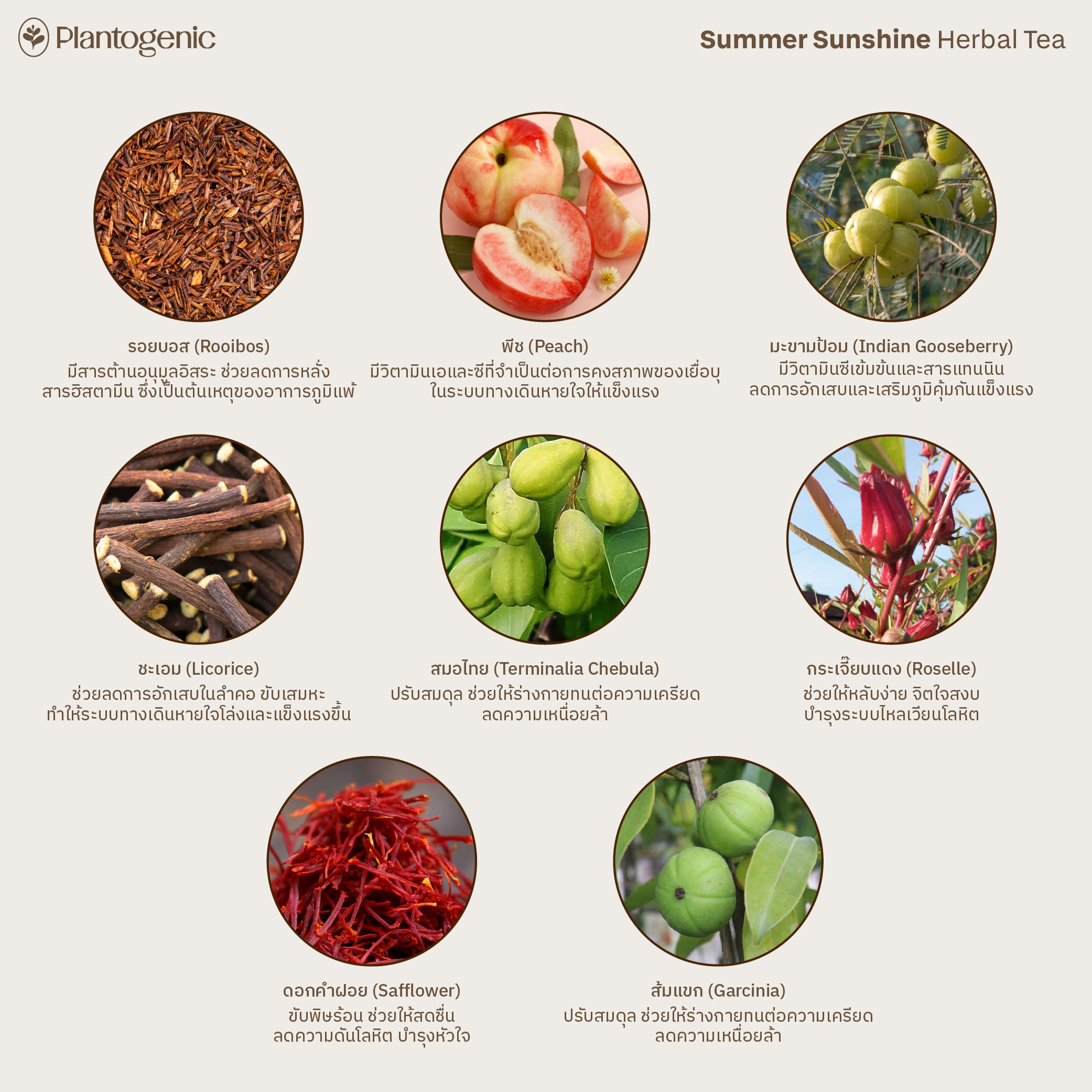 Rainbow Herbal Tea รวมมิตรชา 6 สี ไม่มีคาเฟอีน - Image 9