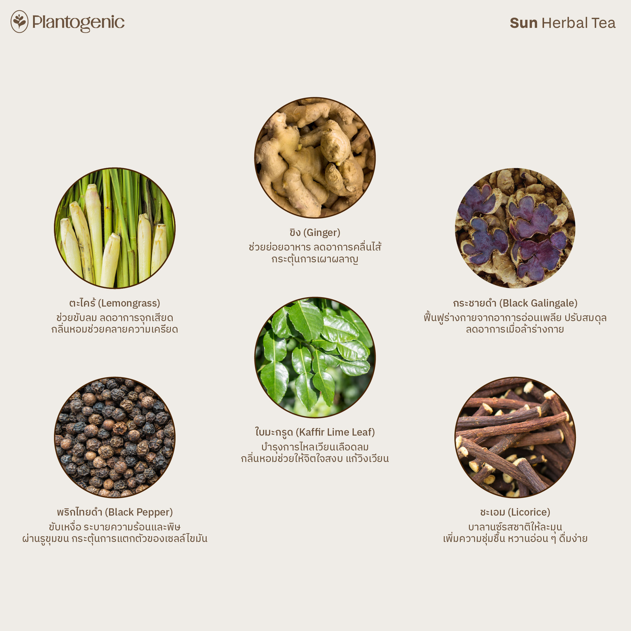 Rainbow Herbal Tea รวมมิตรชา 6 สี ไม่มีคาเฟอีน - Image 3