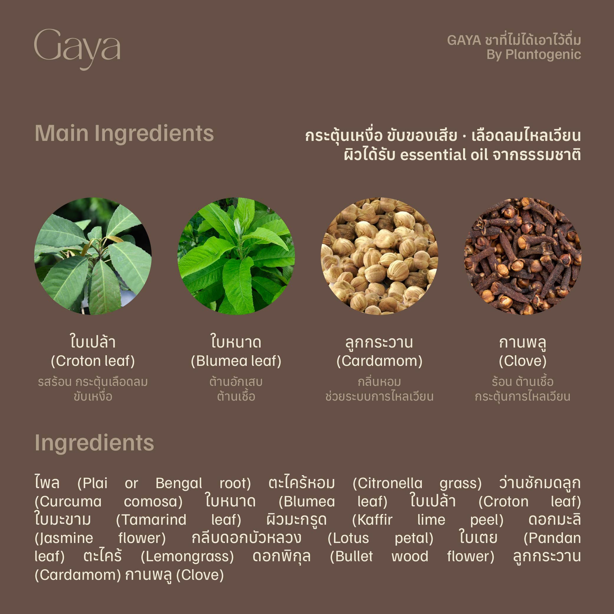 TeaTOX สมุนไพรสำหรับแช่เท้าและแช่ตัว กระตุ้นการขับของเสีย - Image 2