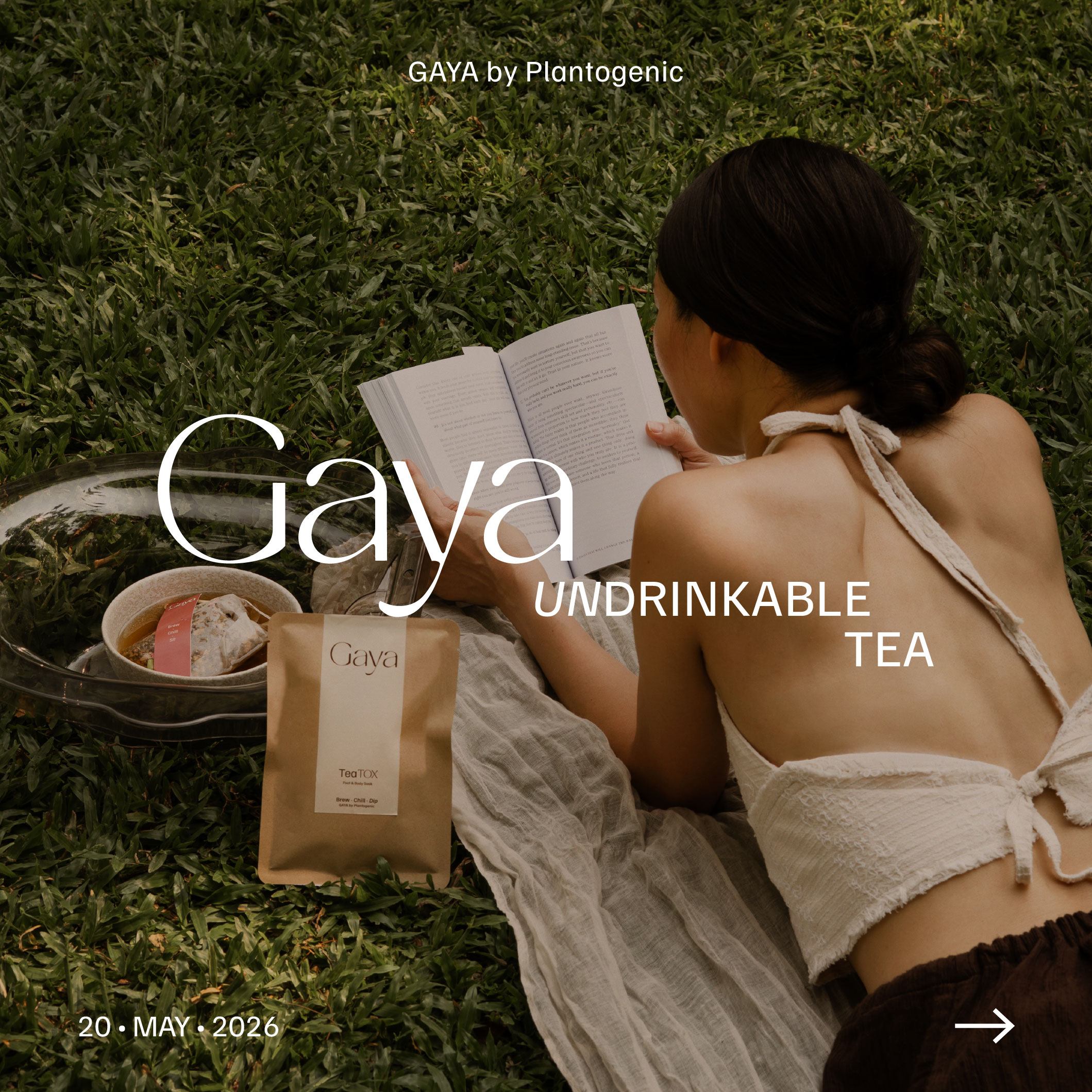 GAYA ชาที่ไม่ได้เอาไว้ดื่ม